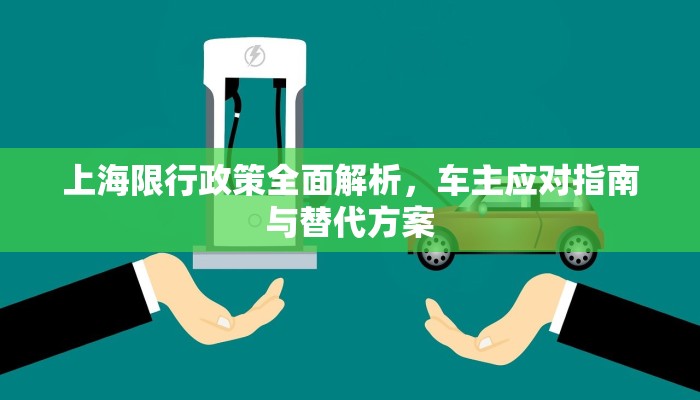上海限行政策全面解析，车主应对指南与替代方案