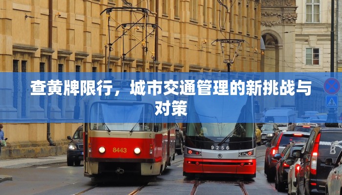 查黄牌限行，城市交通管理的新挑战与对策