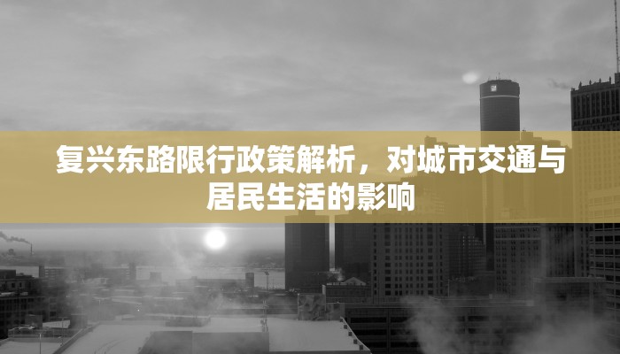 复兴东路限行政策解析，对城市交通与居民生活的影响
