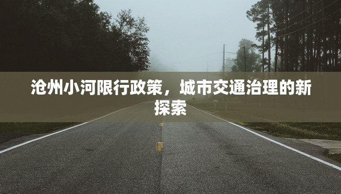 沧州小河限行政策，城市交通治理的新探索