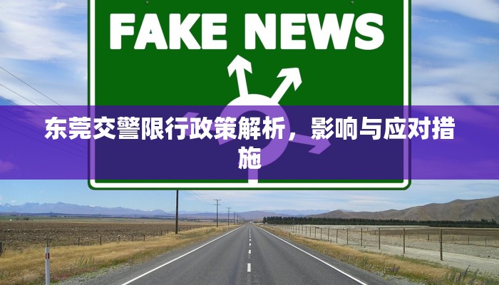 东莞交警限行政策解析，影响与应对措施