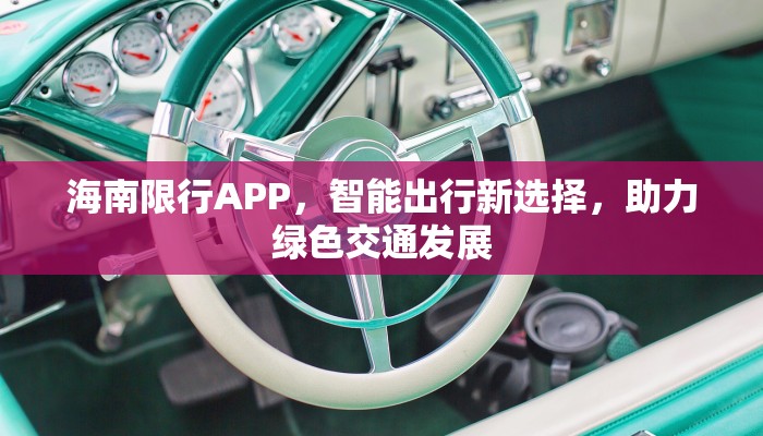 海南限行APP，智能出行新选择，助力绿色交通发展