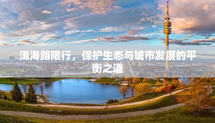 洱海路限行，保护生态与城市发展的平衡之道