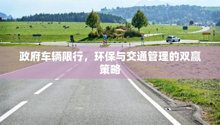 政府车辆限行，环保与交通管理的双赢策略