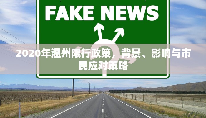 2020年温州限行政策，背景、影响与市民应对策略