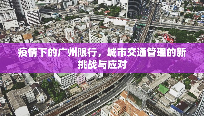 疫情下的广州限行，城市交通管理的新挑战与应对