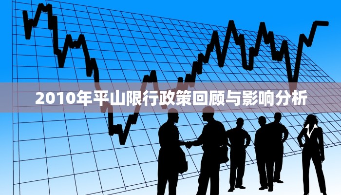 2010年平山限行政策回顾与影响分析