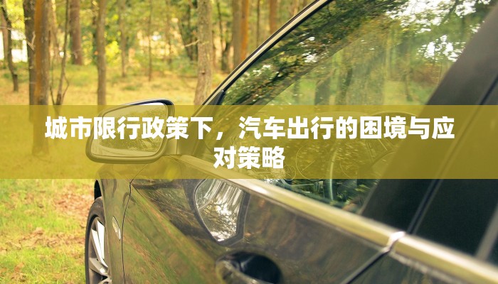 城市限行政策下，汽车出行的困境与应对策略