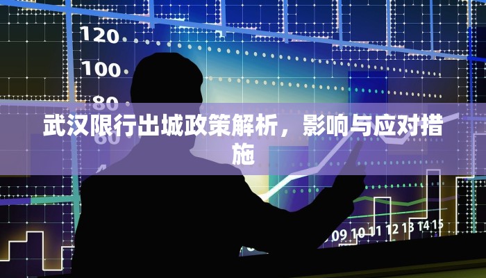 武汉限行出城政策解析，影响与应对措施