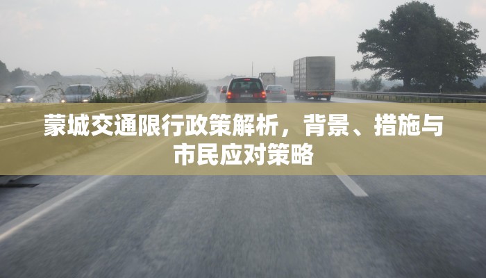 蒙城交通限行政策解析，背景、措施与市民应对策略