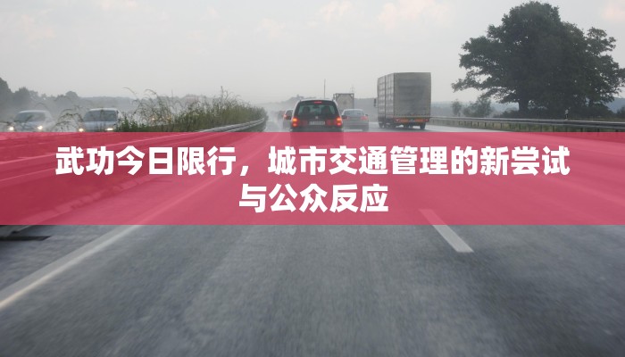 武功今日限行，城市交通管理的新尝试与公众反应