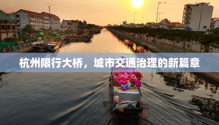 杭州限行大桥，城市交通治理的新篇章