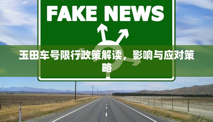 玉田车号限行政策解读，影响与应对策略