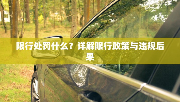 限行处罚什么？详解限行政策与违规后果