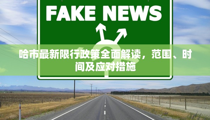 哈市最新限行政策全面解读，范围、时间及应对措施