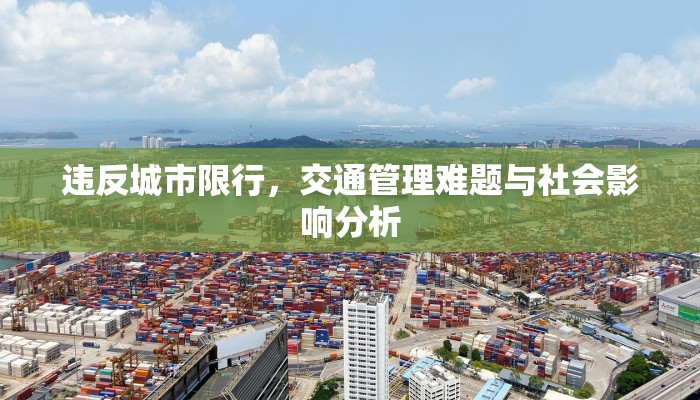 违反城市限行，交通管理难题与社会影响分析
