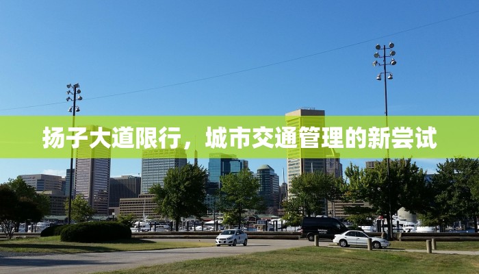 扬子大道限行，城市交通管理的新尝试