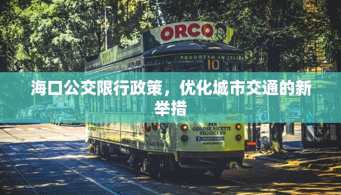 海口公交限行政策，优化城市交通的新举措