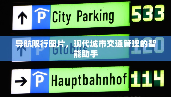 导航限行图片，现代城市交通管理的智能助手