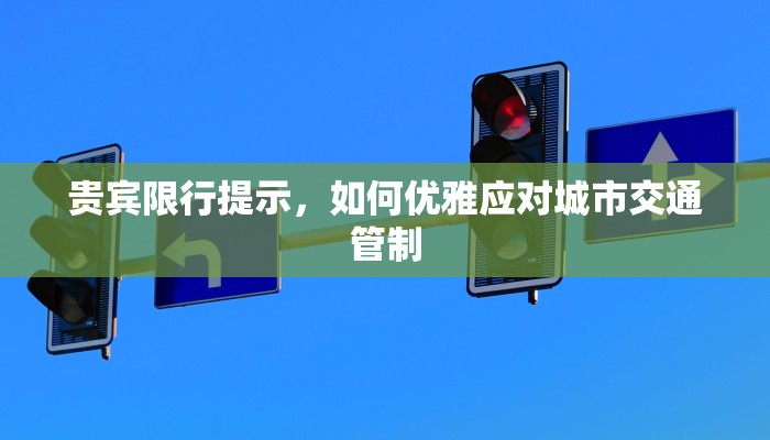 贵宾限行提示，如何优雅应对城市交通管制