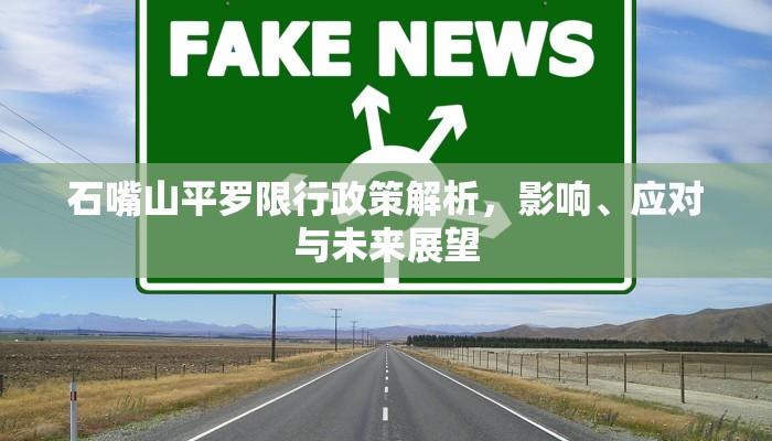 石嘴山平罗限行政策解析，影响、应对与未来展望