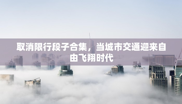 取消限行段子合集，当城市交通迎来自由飞翔时代
