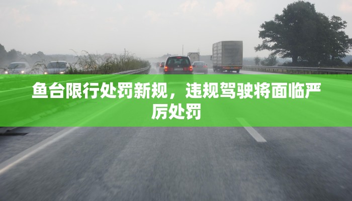 鱼台限行处罚新规，违规驾驶将面临严厉处罚